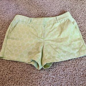Ann Taylor LOFT Light Green Shorts